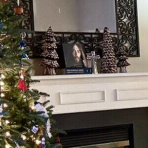 3 Christmas Trees with Snow Alpine Alpes Table top decor Ashland